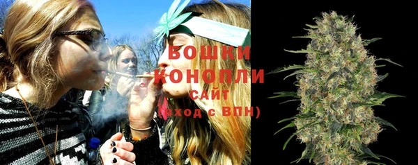 ПСИЛОЦИБИНОВЫЕ ГРИБЫ Семёнов